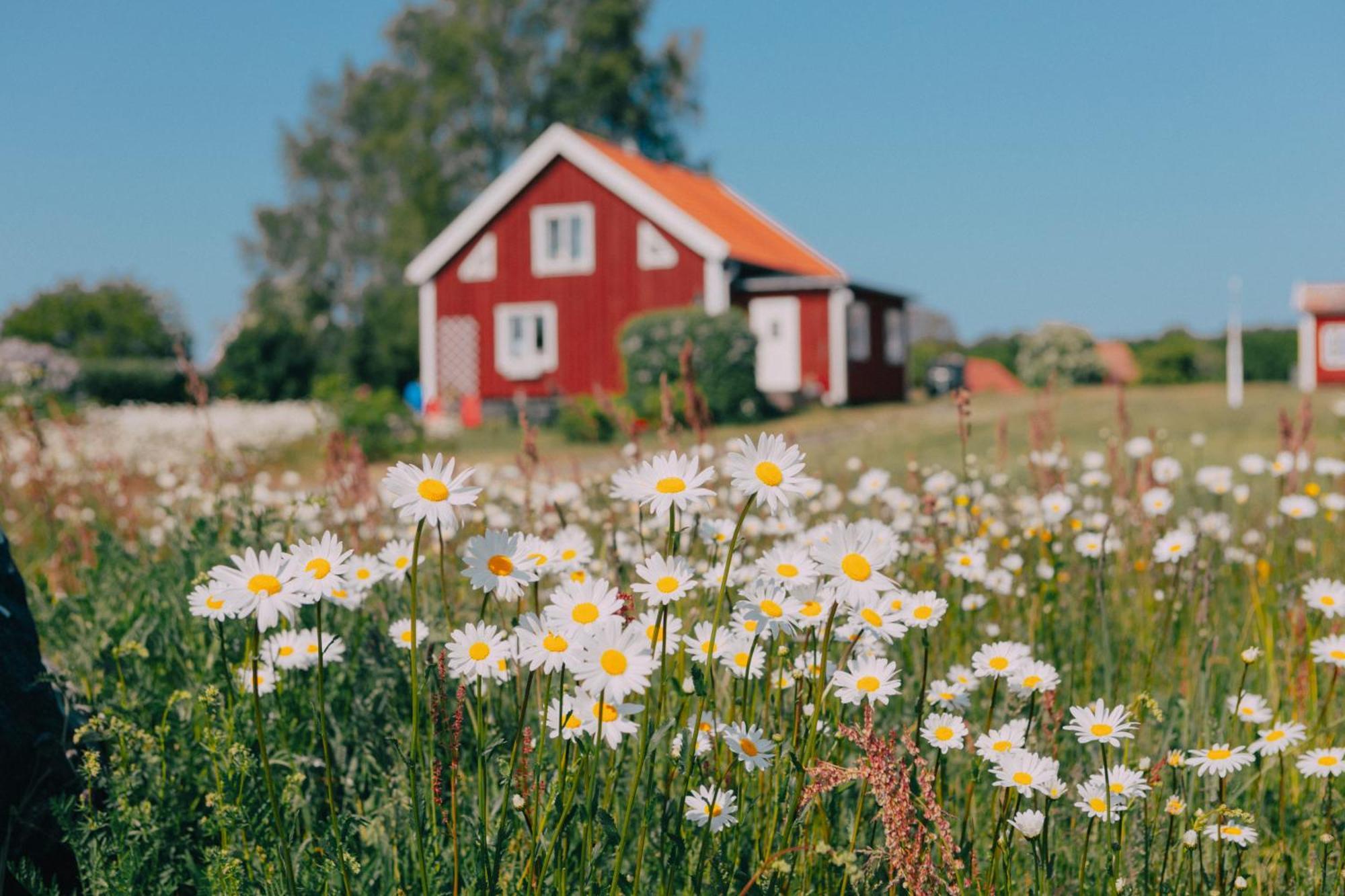 Hasseloe Hostel Eksteriør billede
